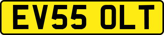 EV55OLT