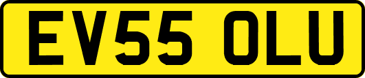 EV55OLU
