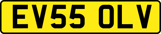 EV55OLV