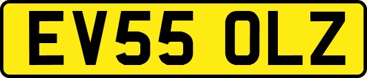 EV55OLZ