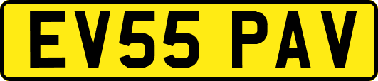 EV55PAV