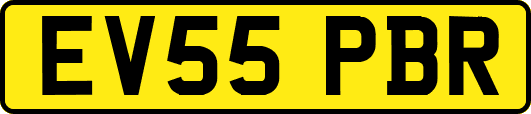 EV55PBR