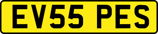 EV55PES