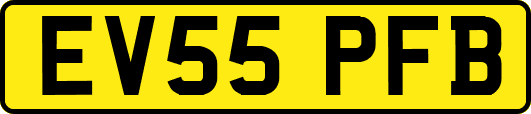 EV55PFB