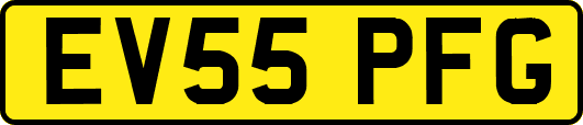 EV55PFG