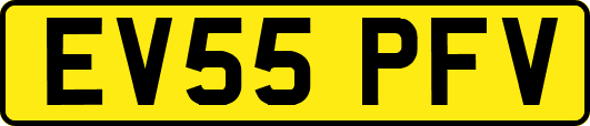 EV55PFV