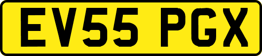EV55PGX