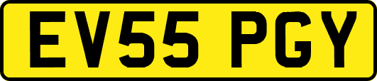 EV55PGY