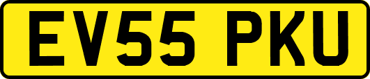EV55PKU