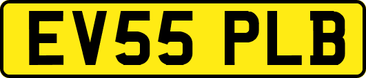 EV55PLB