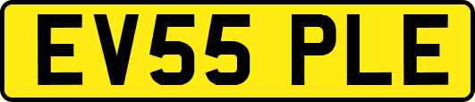 EV55PLE