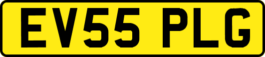 EV55PLG