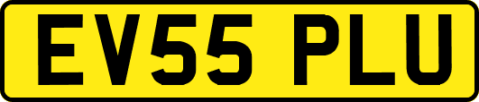 EV55PLU