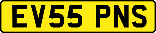 EV55PNS