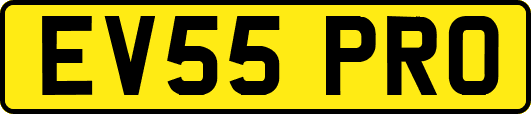 EV55PRO