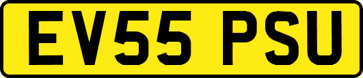 EV55PSU