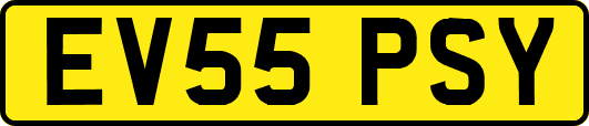 EV55PSY