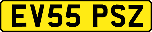 EV55PSZ