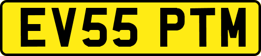 EV55PTM
