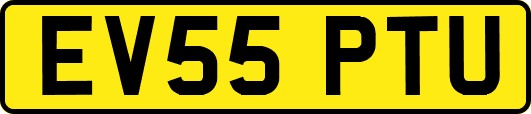 EV55PTU