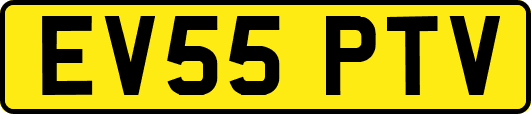 EV55PTV