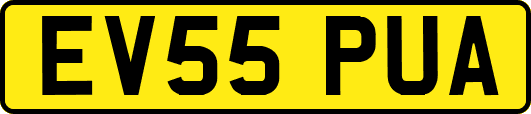 EV55PUA