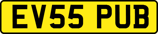 EV55PUB