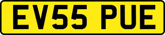 EV55PUE