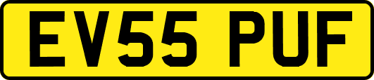 EV55PUF