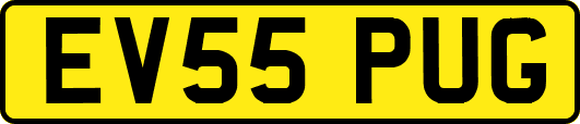 EV55PUG