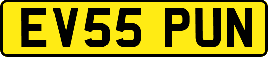EV55PUN