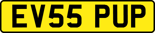 EV55PUP