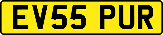 EV55PUR