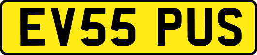 EV55PUS