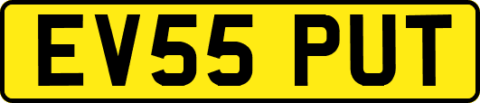 EV55PUT