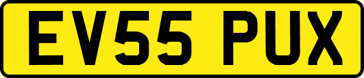 EV55PUX