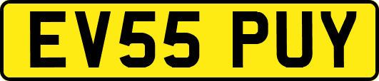 EV55PUY
