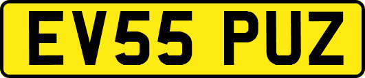 EV55PUZ