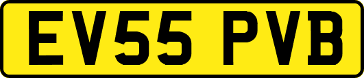 EV55PVB