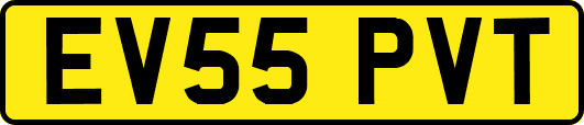 EV55PVT