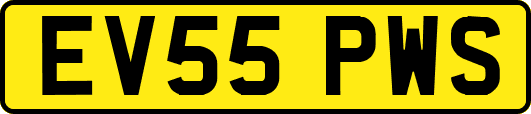 EV55PWS