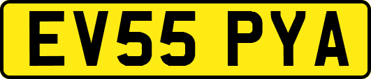 EV55PYA
