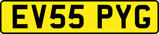 EV55PYG