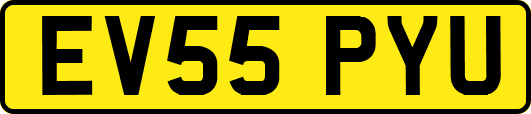 EV55PYU