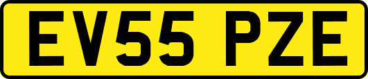 EV55PZE