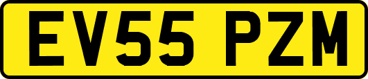 EV55PZM