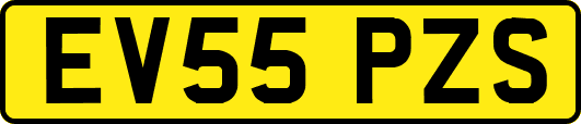 EV55PZS