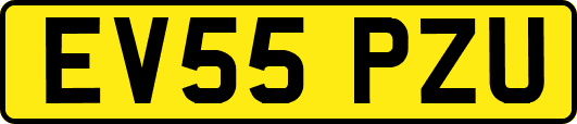 EV55PZU
