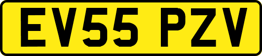 EV55PZV