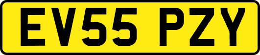 EV55PZY